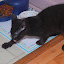 DSC_0899.JPG