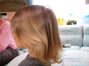 Kestrel's Hair long