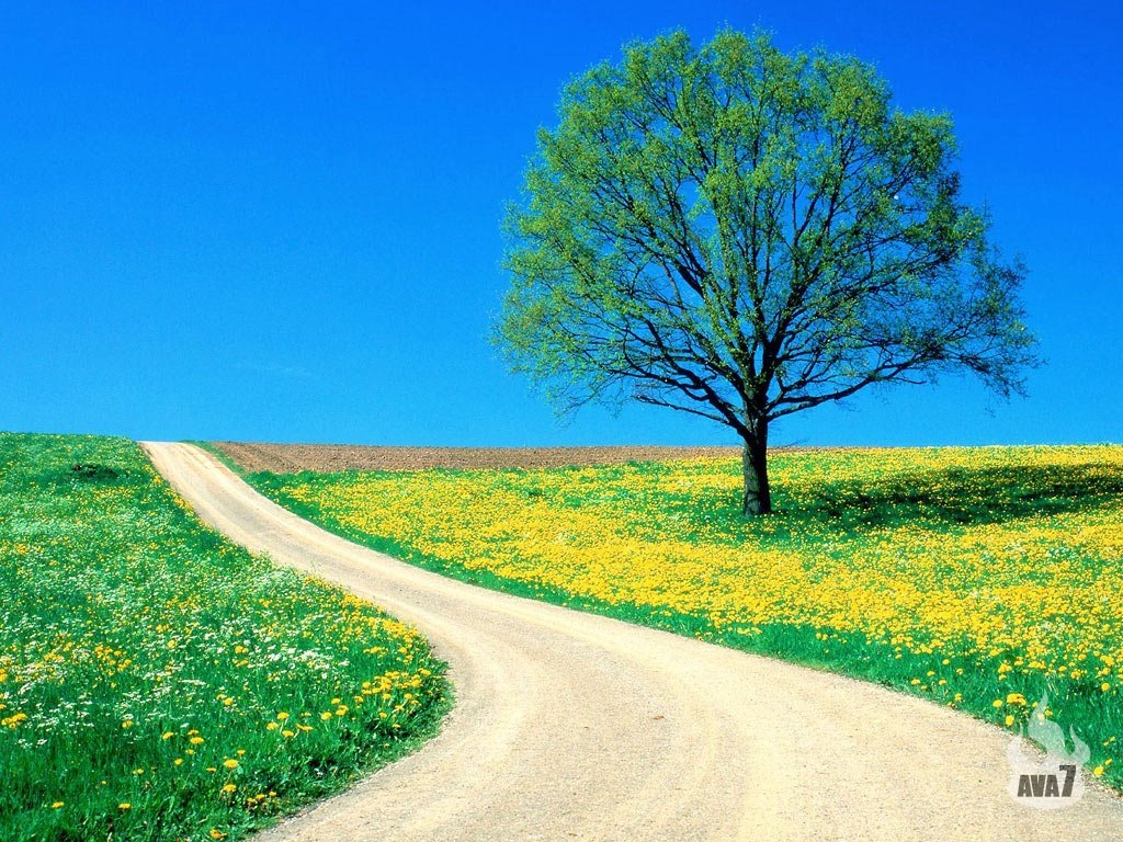 [Spring_Road_1024Spring Road wallpaper 1024x768 306kb[2].jpg]