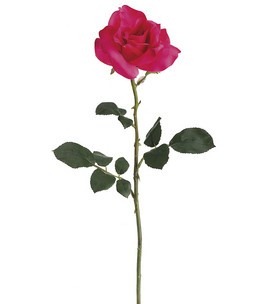 [silk-rose.jpg]