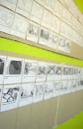 DSCN5210.jpg