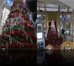 pavillion 10dec