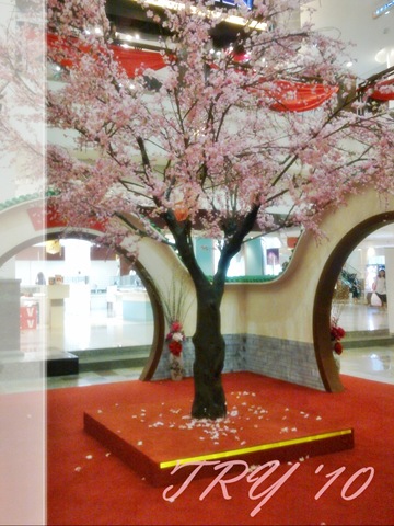 [14JAN014.jpg]