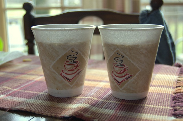 [Styrofoam Coffee Cups for Seed Planting 1-2010-1[5].jpg]