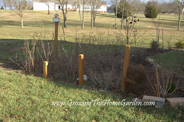 [Self-Seeding Garden in Winter 1-2010-1[1].jpg]
