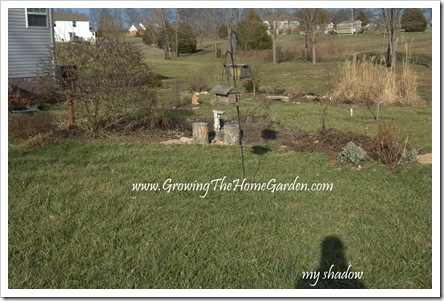 Birdbath Garden 1-2010-1