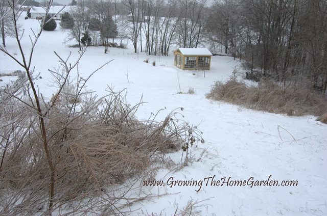 [Snowy Backyard Slope 1-2010-1[6].jpg]