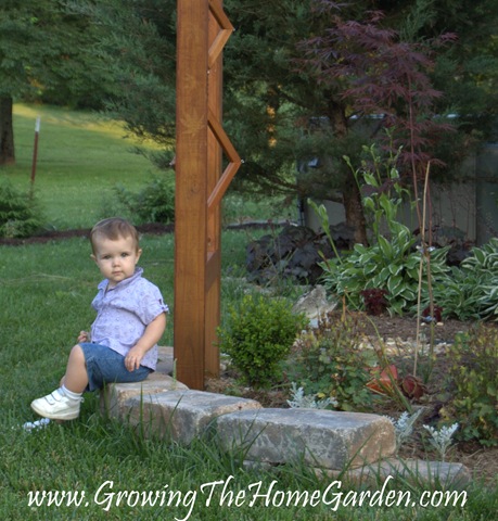 [Toddler and the arbor, corner shade garden 6-2009-1[3].jpg]