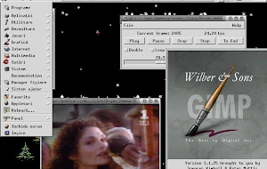 SMPEG-gtv and SMPEG-plaympeg, library audio/video player for Ubuntu 10.04 Lucid Lynx.