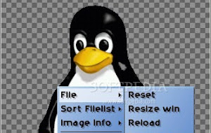 Feh is a fast, lightweight image viewer that uses imlib2.