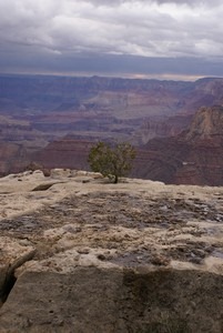 [Grand Canyon 136[7].jpg]