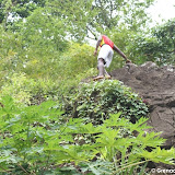 grenada attractions  Annandale Waterfalls Pictures