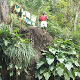 grenada attractions  Annandale Waterfalls Pictures