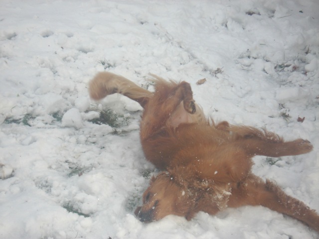 [DSC04366[8].jpg]