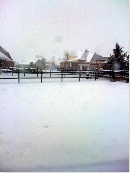 snow storm 3-21-2010
