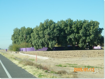 the purple wall on 287