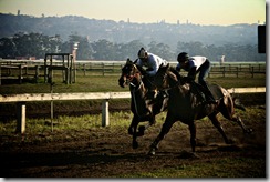 SA - Horse training (Durban) 078