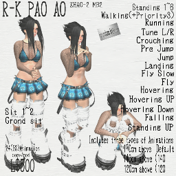 [R-K PAO AO[2].png]