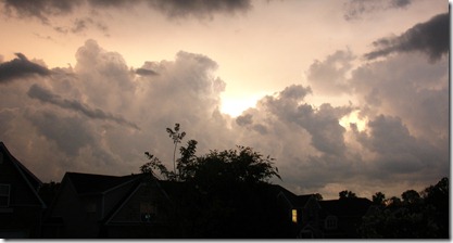DSC00576