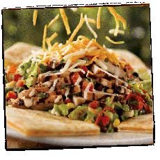 pp_quesadilla%20explosion_tiltleft
