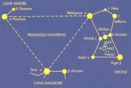 [procione[3].jpg]