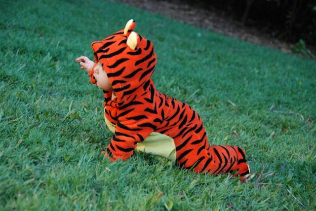 [DSC_0059_Small[7].jpg]