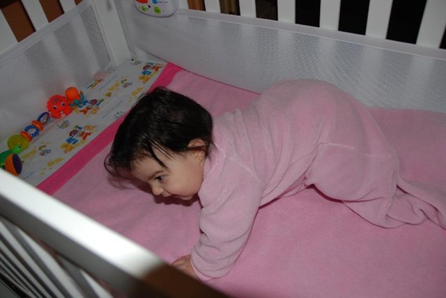 [DSC_0007_Small[13].jpg]
