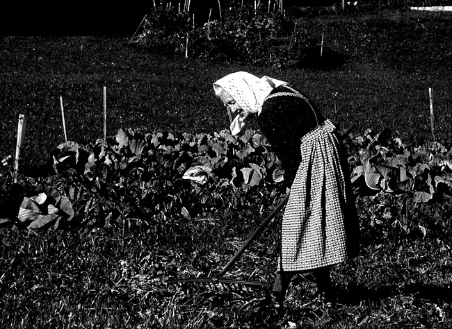 [contadina3 B&W[4].jpg]