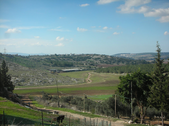 DSCN5955.JPG