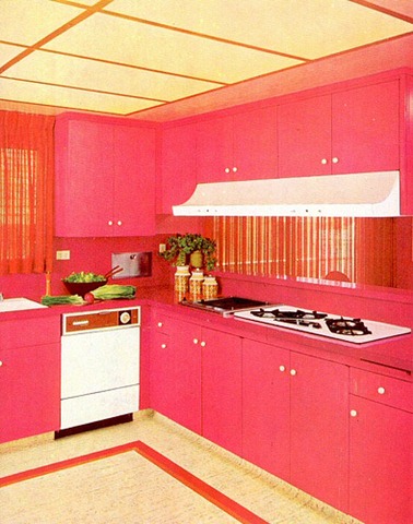 [pink-kitchen03[3].jpg]