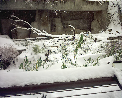 enclosed grotto images