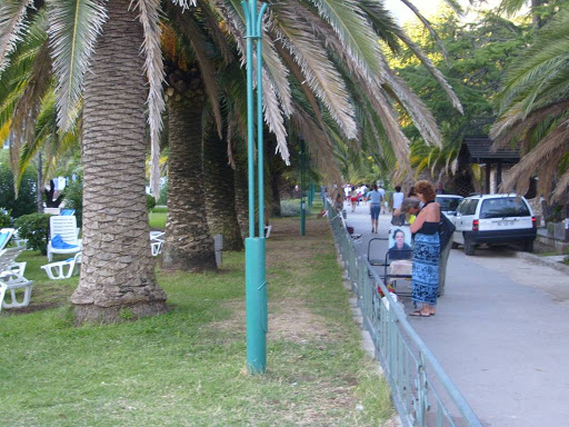S7000246.JPG