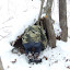 DSCF6090.JPG
