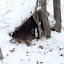 DSCF6091.JPG
