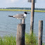CIMG0917.JPG