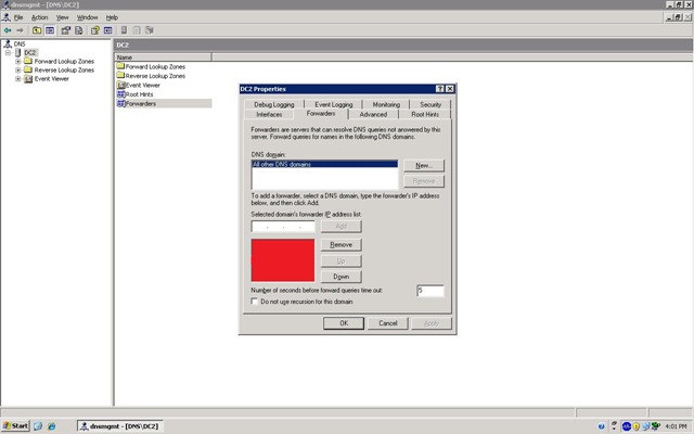 [dns forwarder[11].jpg]
