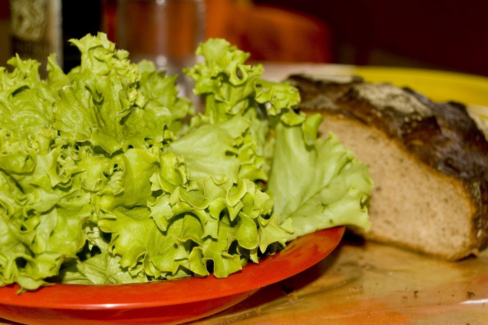 [Insalata6.jpg]