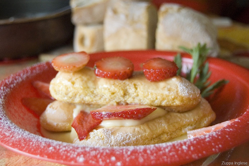 [Zuppa-ingles[10].jpg]