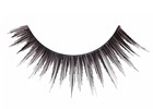 [lash47[3].jpg]