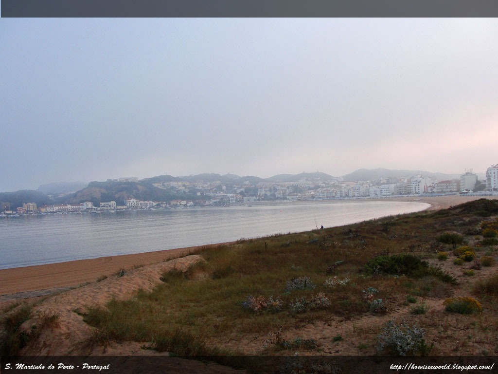 [DSC00979[1].jpg]