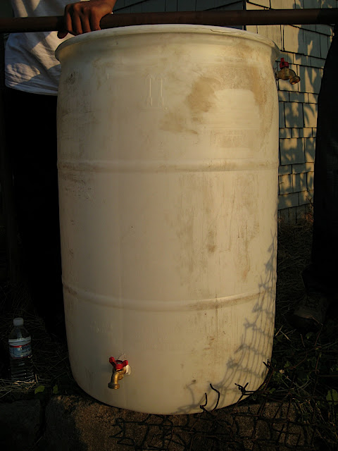Rain Barrel Pic