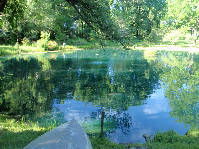 The Pond