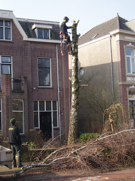 rooien Berk