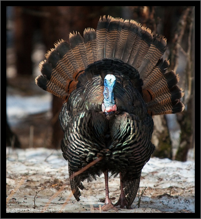 [IMG_7944-1[6].jpg]