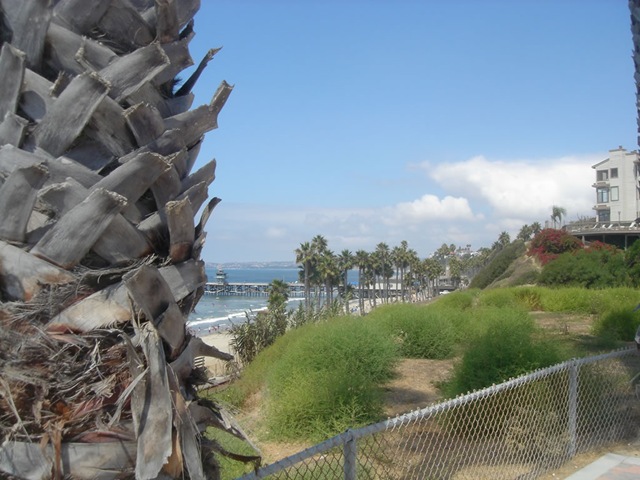 [sandiego2[3].jpg]