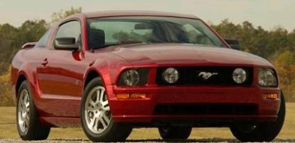 [mustang3[3].jpg]
