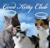 Good Kitty Club