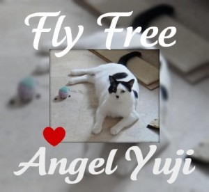 [yuji-run-free[2].jpg]