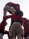 http://lh5.ggpht.com/_PKO_RoJQEZ0/S30SCHDnlwI/AAAAAAAABCE/kM3BxcuvCAA/P1230179.JPG