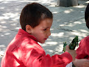 http://lh5.ggpht.com/_PKO_RoJQEZ0/S_0WDwiMnTI/AAAAAAAACr0/oYdbUsVTGaA/P1040195.JPG